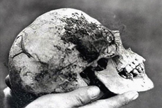 二战英国<em>最诡异的案子</em>：树干里的女尸，是从天而降吗？