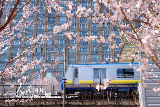 <em>北京</em>：开往春天的列车