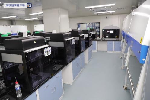 单日20万管 上海高通量水平单体实验室正式启用