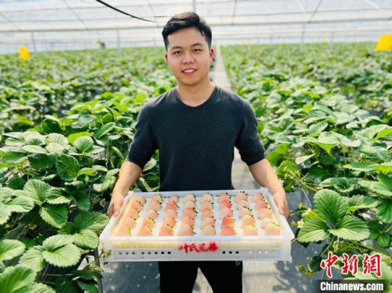 浙江大学生毕业返乡做“莓”创客 新技术服务“土”产业