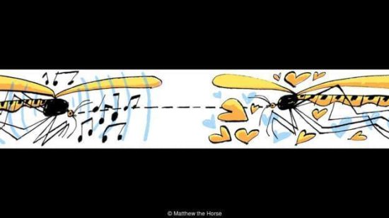 倾听<em>昆虫</em>振翅有多重要？可帮我们对抗疟疾