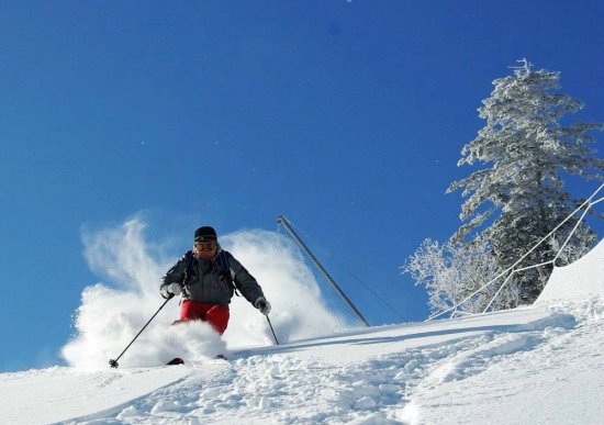 健康过年 | 冬季不愿错过的娱乐活动！如何避免<em>滑雪</em>损伤