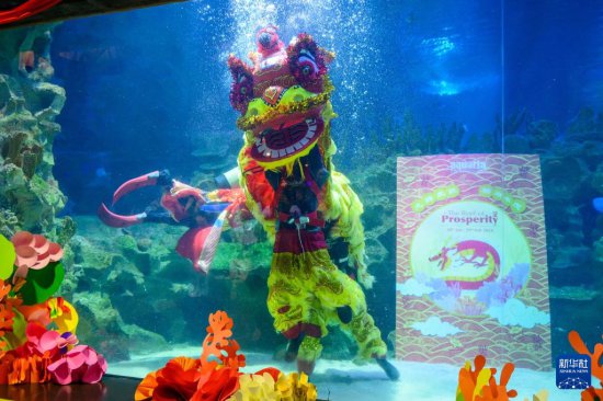马来西亚：<em>水族馆</em>举办迎新春活动