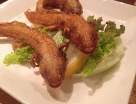 日本暗黑<em>餐厅专用</em>生猛食材 含鳄鱼爪和食人鱼