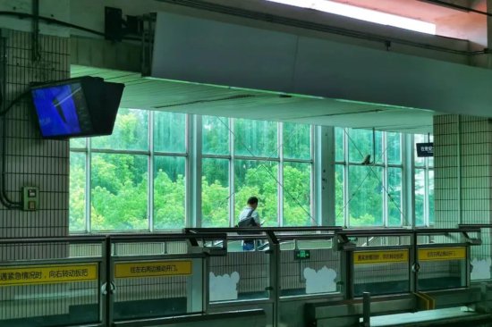 长宁有座藏在“绿野仙踪”中的地铁站，你来打过卡吗？