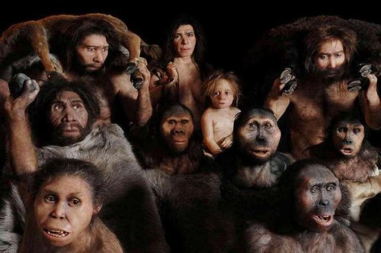 10万年前，<em>地球上</em>至少还有6种人类，为何<em>最后</em>只剩下我们？