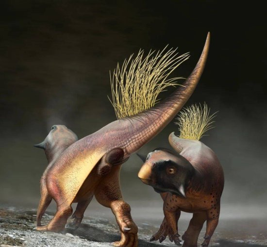 1.2亿年后，人类终于<em>知道恐龙的</em>“菊花”长什么样了！