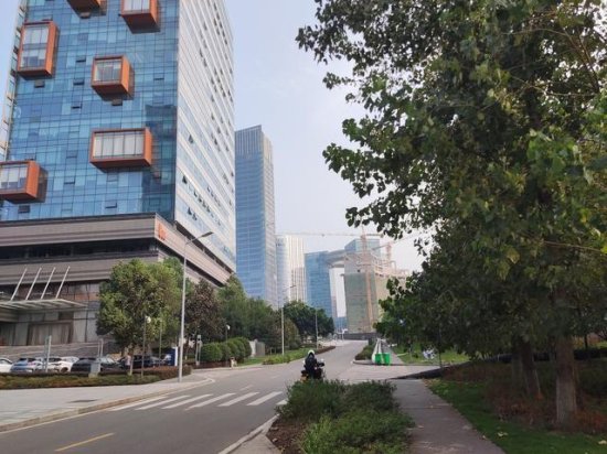 渝北区高科技产业园，从农村崛起的新城，<em>高端大气</em>却行人较少