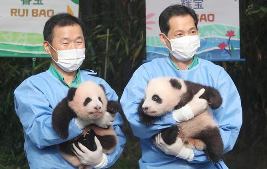 名字公布了！韩国诞生的大熊猫双胞胎<em> 取名</em>“睿宝”和“辉宝”