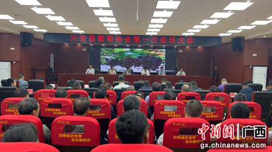广西兴安县葡萄协会成立