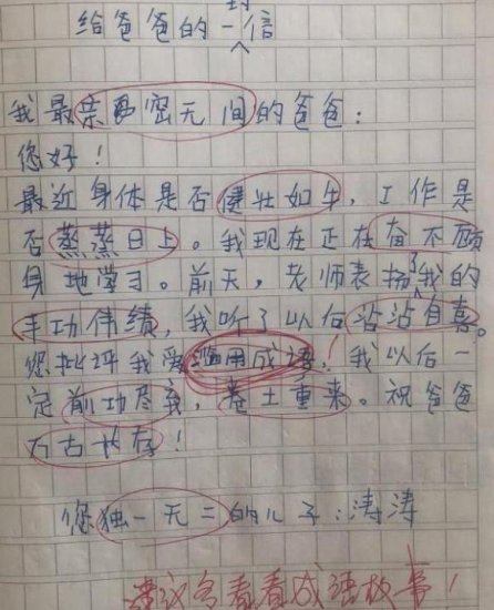 小学生写给爸爸的信走红，<em>百字作文</em>用11个成语，网友自愧不如