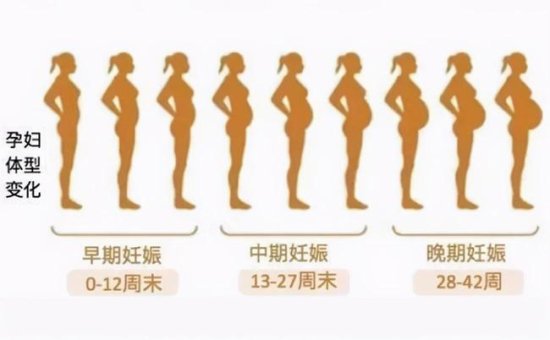 同样月份，为何孕妈的肚子<em>有大有小</em>，这四个因素是关键