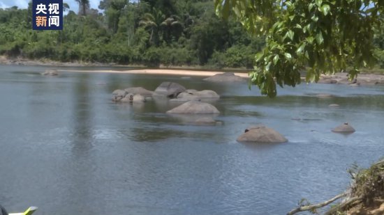 总台记者直击丨苏里南干旱致河流水位下降 影响沿岸民众生活