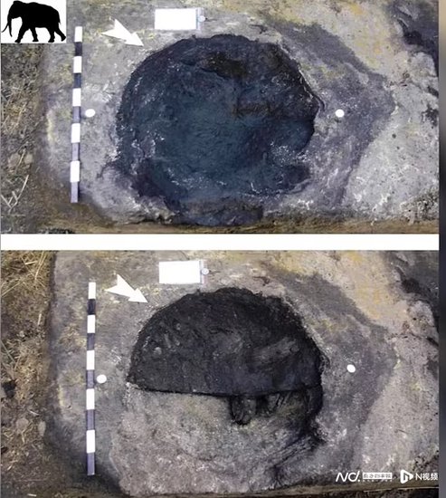 <em>德国</em>发现最古老人类脚印，是30万年前“<em>海德堡</em>人”一家三口