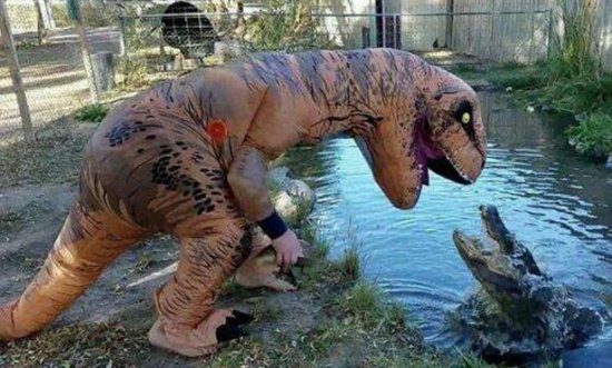 男子假扮<em>恐龙</em>戏耍<em>凶猛的</em>鳄鱼，对视的那一刻，鳄鱼一脸懵了！