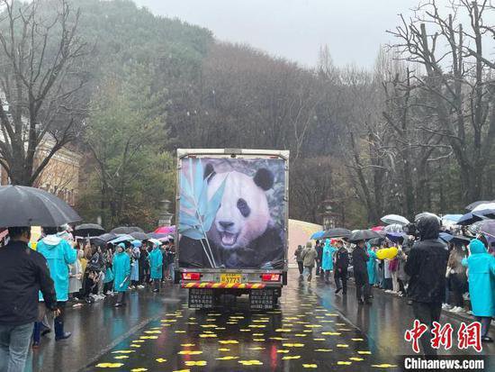 美好回忆！大熊猫“福宝”纪录片将于今秋在韩上映