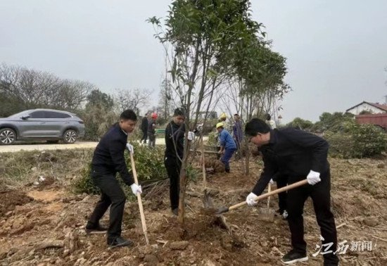 南昌<em>新建区</em>：义务植树造林 改善乡村生态环境