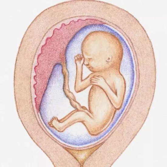 怀孕进入<em>四个月</em>，孕妈咪秉承四原则，顺利度过孕中期