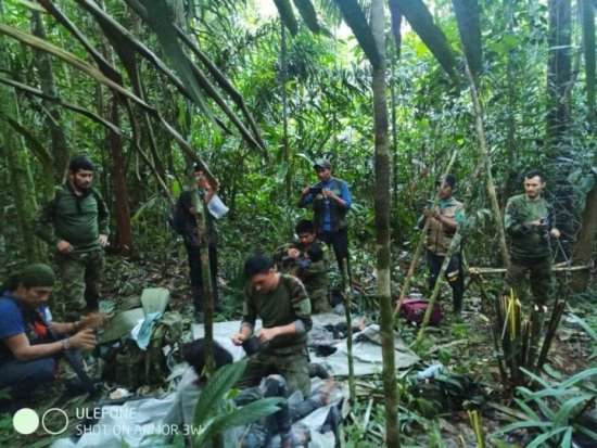 <em>坠机</em>后<em>幸存</em> 哥伦比亚4名儿童在丛林游走40天后获救