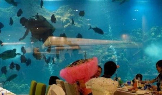 <em>三亚最有趣的</em>餐厅：不仅能看到热带鱼，甚至还能看到“美人鱼”
