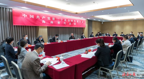 党的二十大海南省代表团讨论中央纪委工作报告 沈晓明冯飞参加