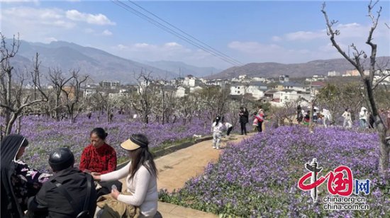 汉源县赏花模式开启，各地游客花式打卡花海果乡