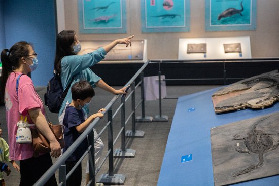 “龙跃黔海——贵州三叠纪的<em>海洋世界</em>”展览在京开展