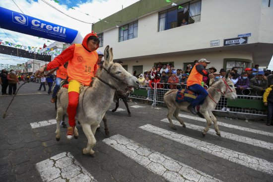 厄瓜多尔举行赛驴活动