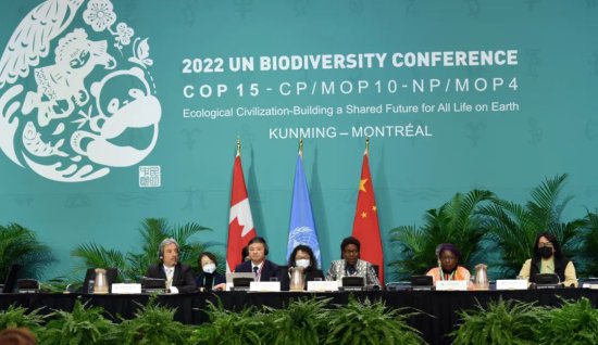《生物多样性公约》第十五次缔约方大会第二阶段高<em>级别</em>会议闭幕