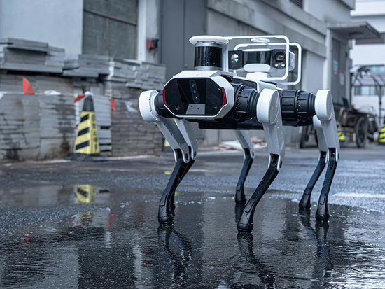 联想推出“Daystar Bot GS”机器狗：6 腿设计、支持 IP66 防水