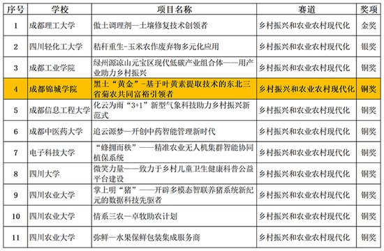 成都锦城学院在第十三届“挑战杯”再夺国家级奖项