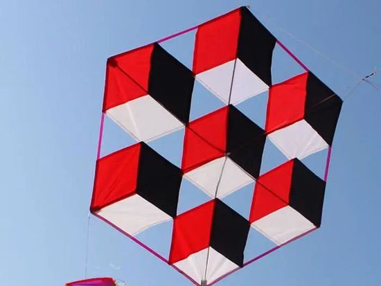 共享春日好风光，一场<em>放风筝比赛</em>在南海子公园举行
