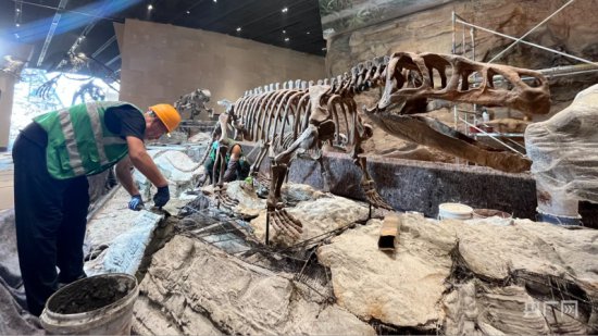 恐龙模型进场！中国古动物馆加速布展