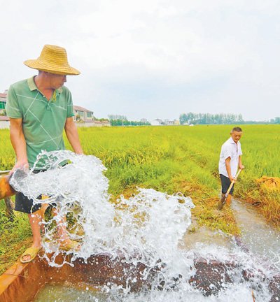 多部门多地区积极行动——保障生活生产用水 努力夺取秋粮丰收