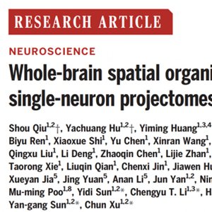 小鼠<em>海马区</em>脑图谱研究获新突破，将为研究人脑做铺垫