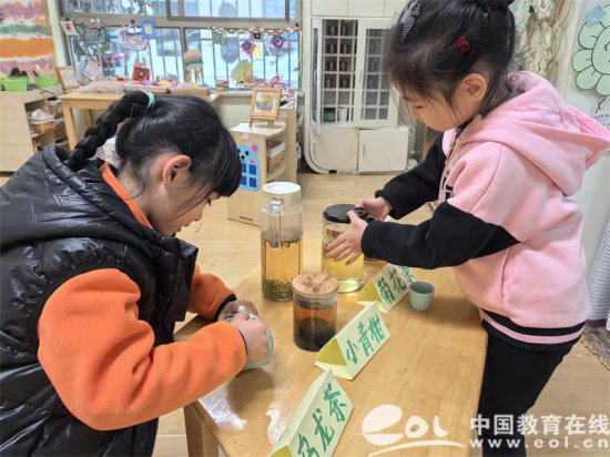 探索家乡的茶园 杭州市安吉路幼儿园开展巴学实践活动