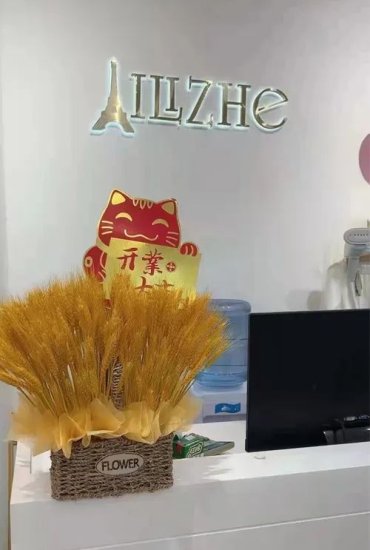 热烈庆贺艾丽哲Ailizhe品牌旗下新店<em>开业</em>大吉 ！