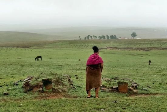 一位年轻<em>摄影</em>师<em>制作</em>了关于南非的家族树