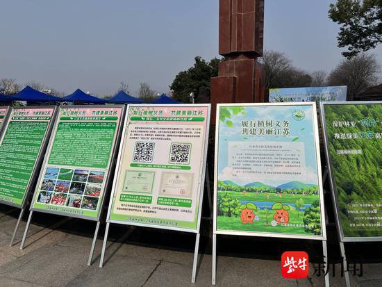 植树节广场宣传活动举办，邀您为南京“添绿”