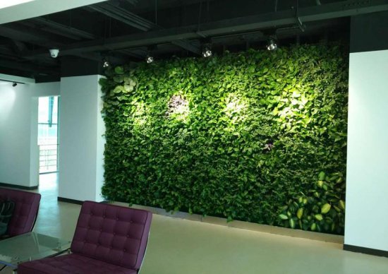 <em>办公室装修</em>与设计的绿色源泉——植物墙