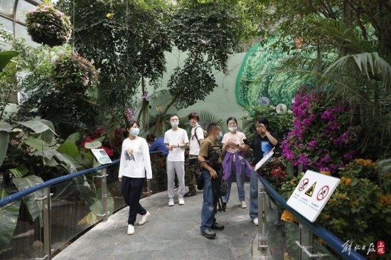 可观赏从幼虫到羽化，放飞近5万只蝴蝶，上海动物园开启金秋赏蝶...