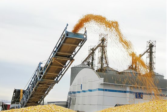 2022年粮价“开门红”，玉米、小麦喜迎上涨！还有2个好消息...