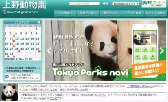 “<em>香香</em>”回国日本人含泪不舍，日本民众有多爱大熊猫？