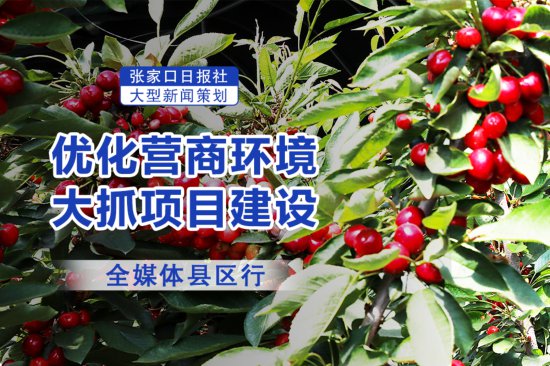 “政府帮咱到北京卖樱桃！”——沽源服务农业种植企业见闻