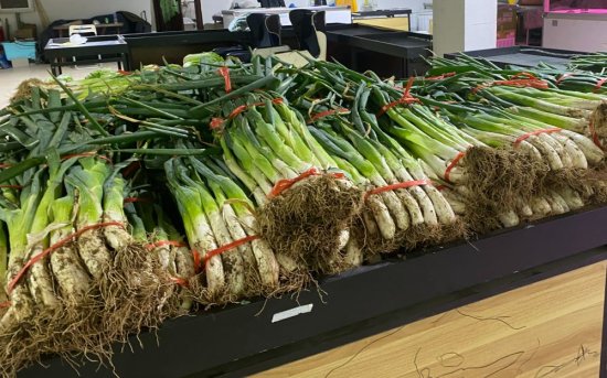 冬储大白菜“兜底”供应 上百种“特菜”已在北京长期种植
