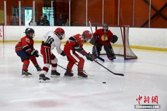 加拿大多伦多华人<em>体育机构</em>举办“未来之星”青少年冰球赛