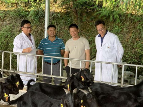 广西牛羊产业创新团队：用科技解锁<em>养殖</em>行业绿色转型密码