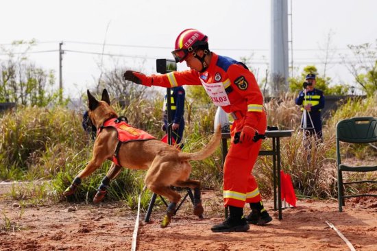 江西<em>哪个市的</em>消防搜救犬最厉害？结果出来了