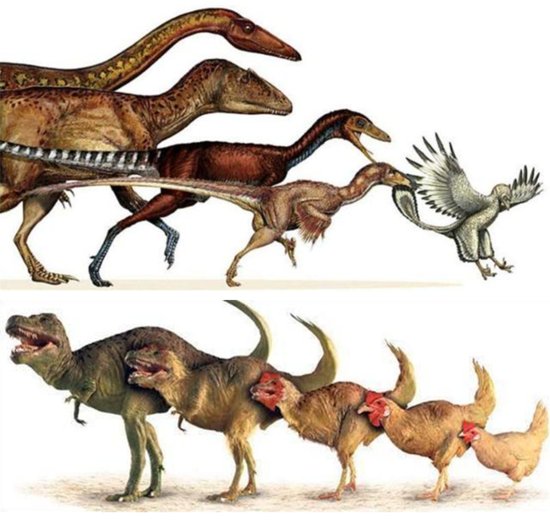 <em>恐龙</em>家族现新成员：中国丝路巨龙和新疆哈密巨龙！它们长什么样...