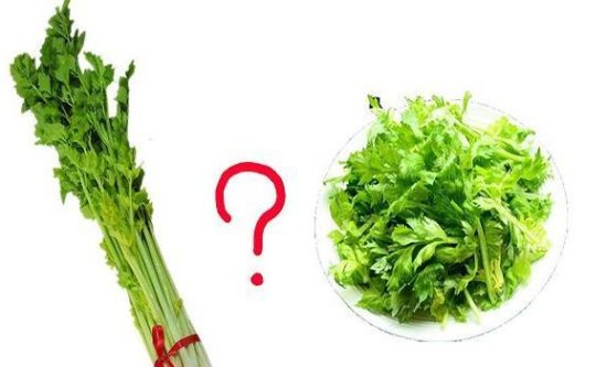 芹菜叶和茎哪个有营养？吃芹菜<em>能降血压吗</em>